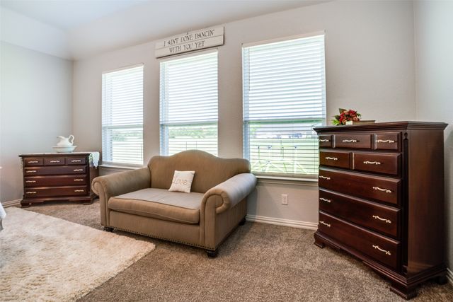 119 Cottonwood Court, Van Alstyne, TX 75495