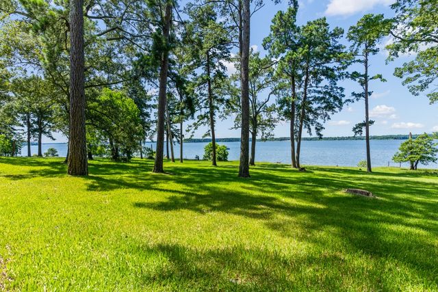 263 Crestwood Loop, Avinger, TX 75630