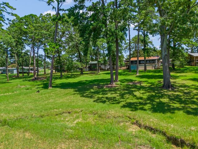 263 Crestwood Loop, Avinger, TX 75630