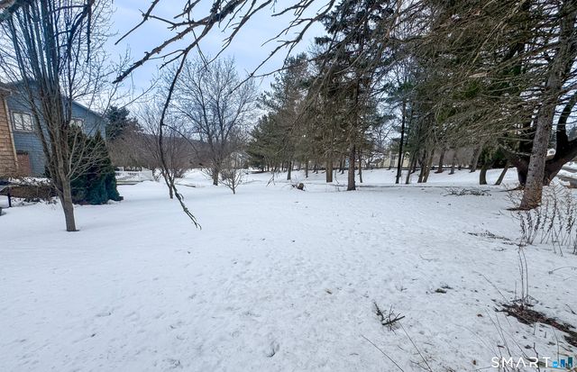 1 Yellow Wood Street, Middletown, CT 06457