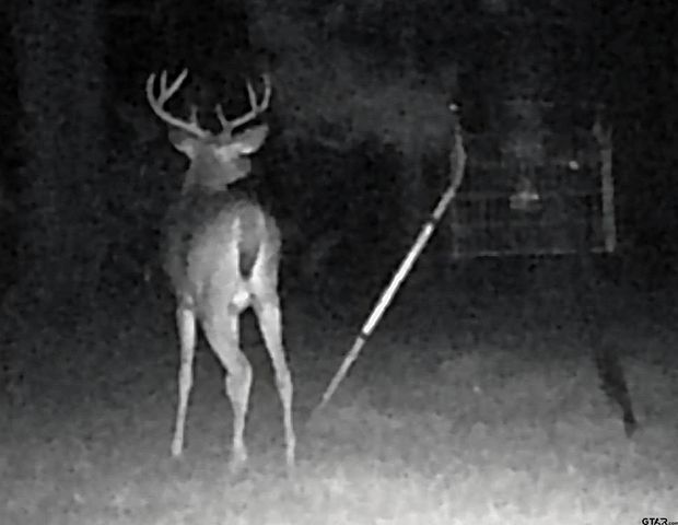 2468 FM 2767, Kilgore, TX 75662