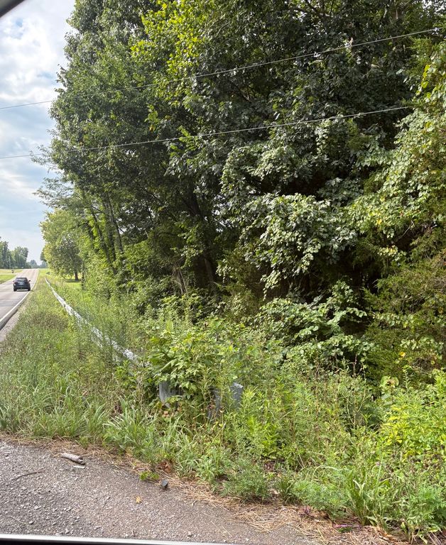 Image 13 of property listing at 000 N Tolle Lane, Mt Vernon, IL 62864