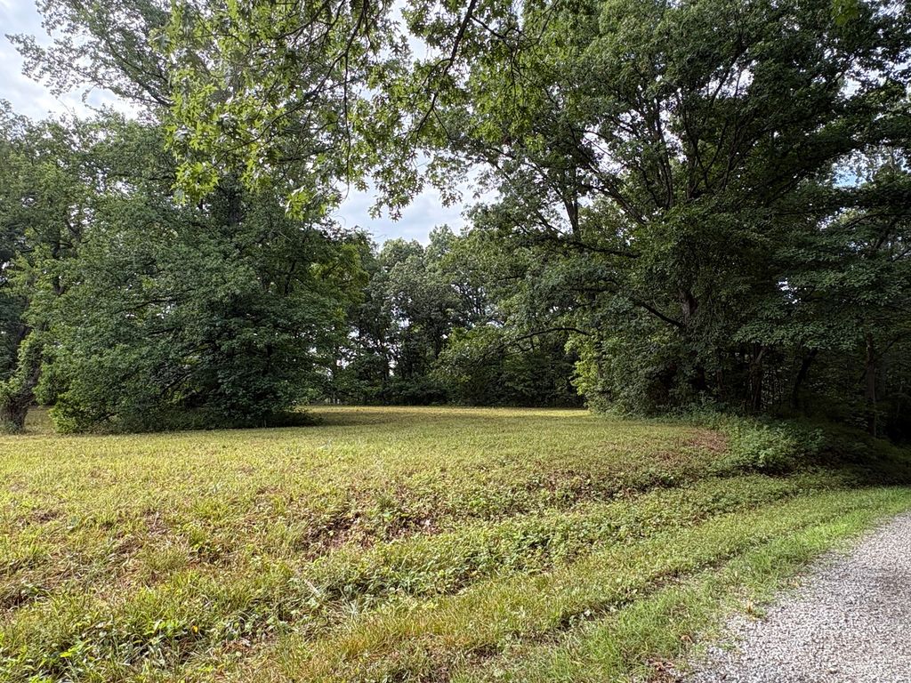Image 3 of property listing at 000 N Tolle Lane, Mt Vernon, IL 62864