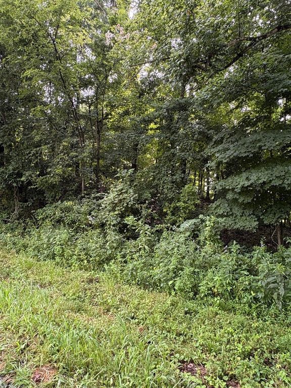 Image 4 of property listing at 000 N Tolle Lane, Mt Vernon, IL 62864