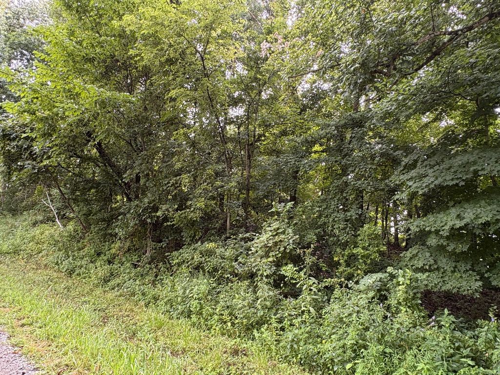 Image 5 of property listing at 000 N Tolle Lane, Mt Vernon, IL 62864