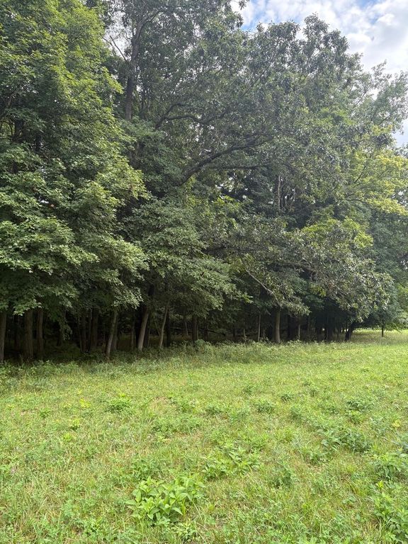 Image 8 of property listing at 000 N Tolle Lane, Mt Vernon, IL 62864
