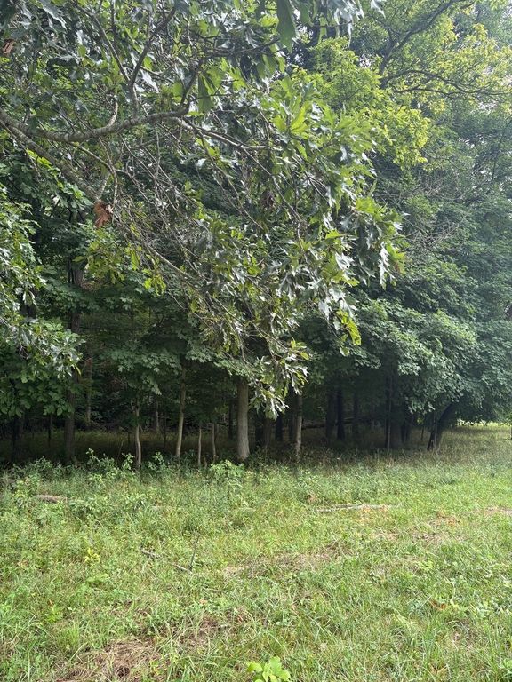 Image 9 of property listing at 000 N Tolle Lane, Mt Vernon, IL 62864