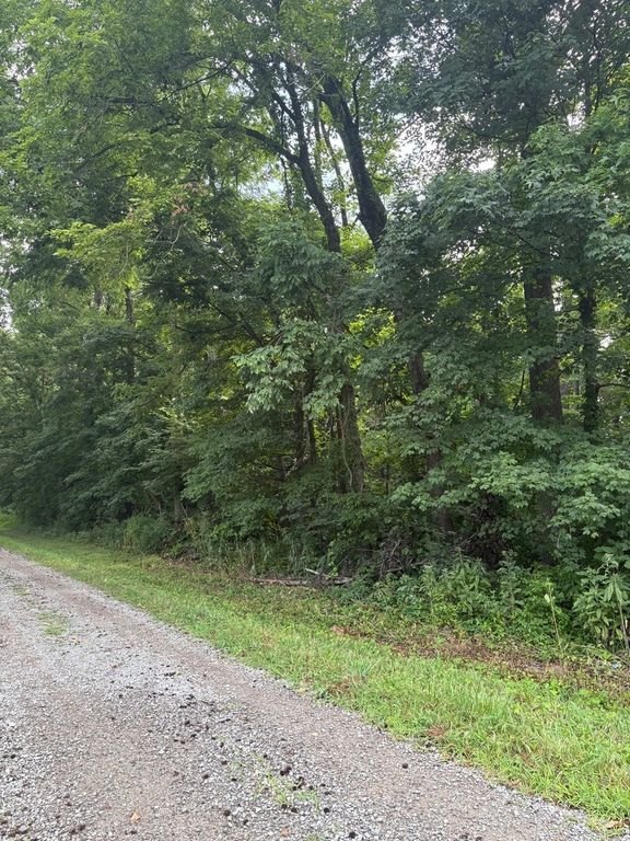 Image 10 of property listing at 000 N Tolle Lane, Mt Vernon, IL 62864