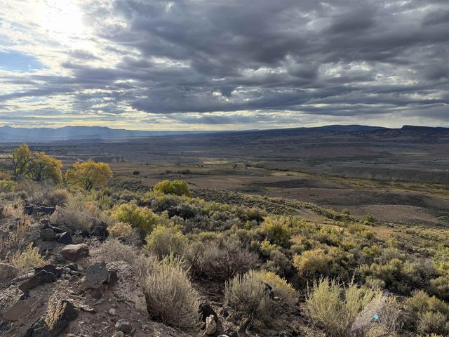 Payne Siding Road, Hotchkiss, CO 81419
