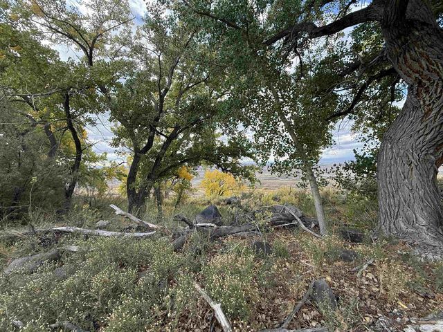 Payne Siding Road, Hotchkiss, CO 81419