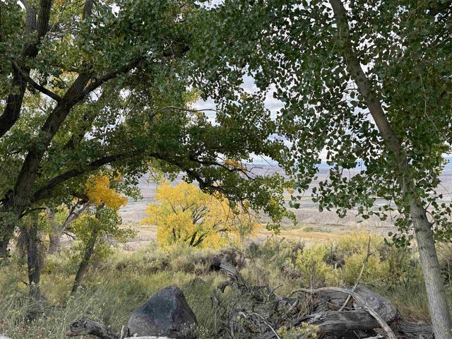 Payne Siding Road, Hotchkiss, CO 81419