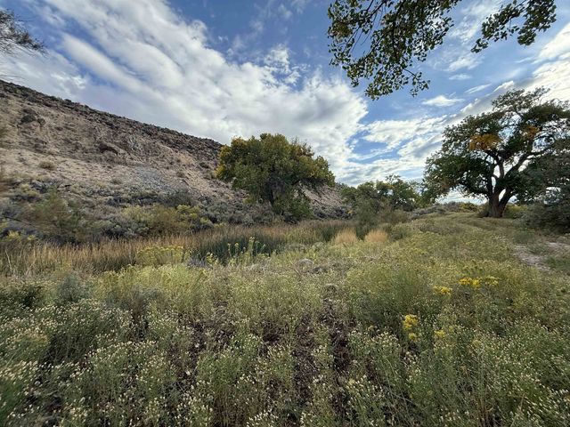 Payne Siding Road, Hotchkiss, CO 81419