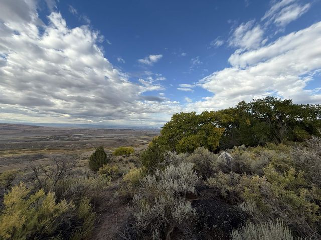 Payne Siding Road, Hotchkiss, CO 81419