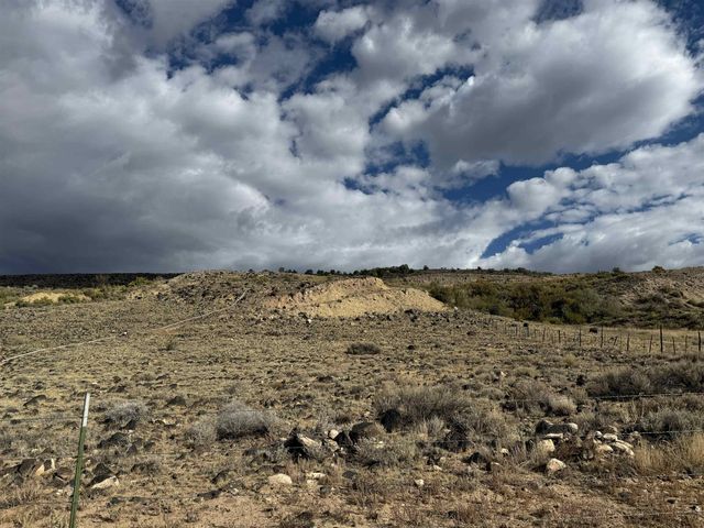 Payne Siding Road, Hotchkiss, CO 81419
