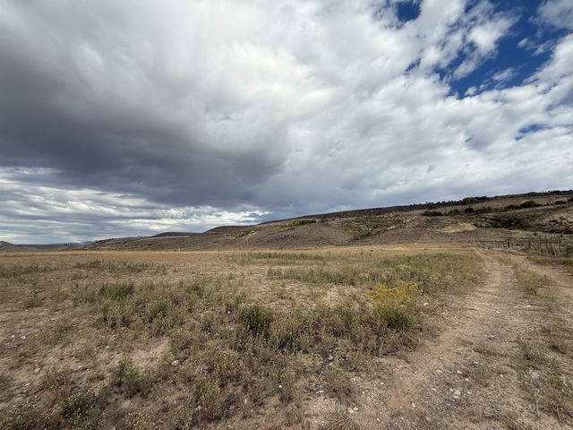 Payne Siding Road, Hotchkiss, CO 81419