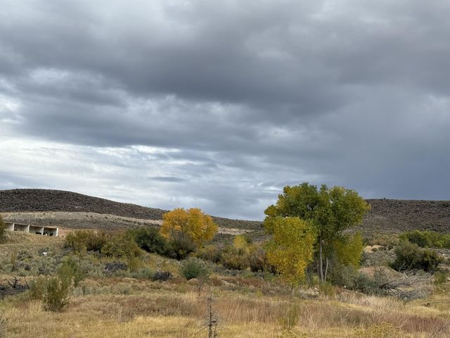 Payne Siding Road, Hotchkiss, CO 81419