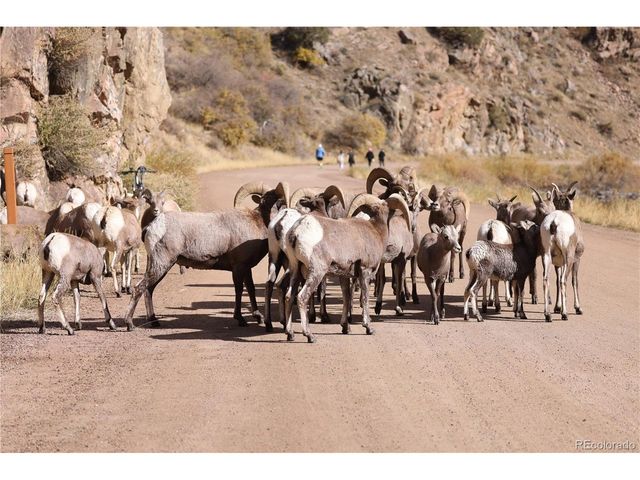 5021 S Robb St, Littleton, CO 80127