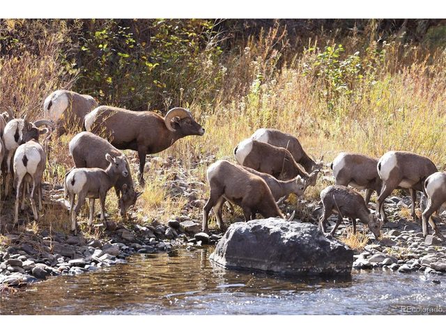 5021 S Robb St, Littleton, CO 80127