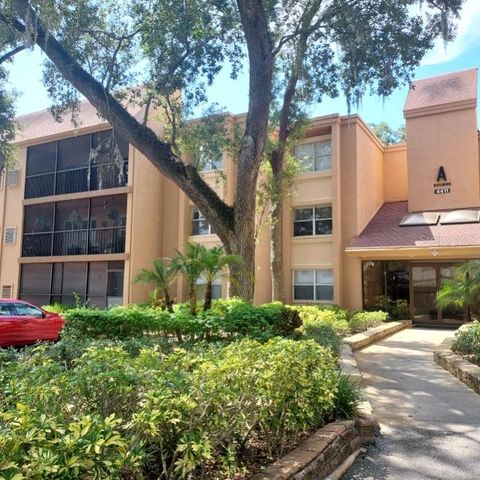 4411 SHADY TERRACE LANE 209, Tampa, FL 33613