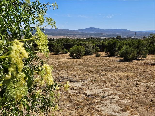56795 Mount, Anza, CA 92539