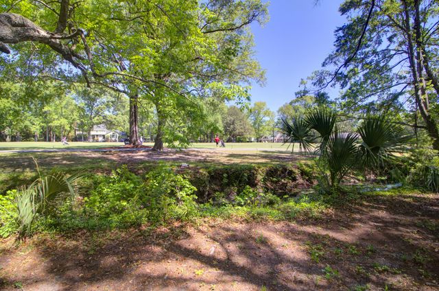 1120 Deleisseline Boulevard, Mount Pleasant, SC 29464