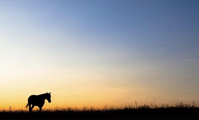 6001 N ELKCAM BOULEVARD, Beverly Hills, FL 34465