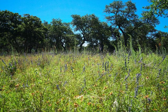 204 Wilson Ranch Rd, Hunt, TX 78024
