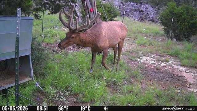 204 Wilson Ranch Rd, Hunt, TX 78024