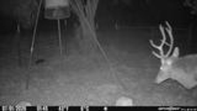 204 Wilson Ranch Rd, Hunt, TX 78024
