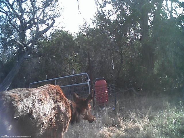 204 Wilson Ranch Rd, Hunt, TX 78024