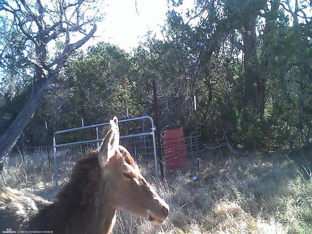 204 Wilson Ranch Rd, Hunt, TX 78024