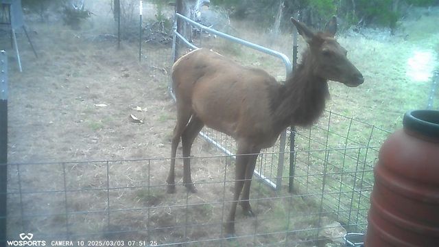 204 Wilson Ranch Rd, Hunt, TX 78024