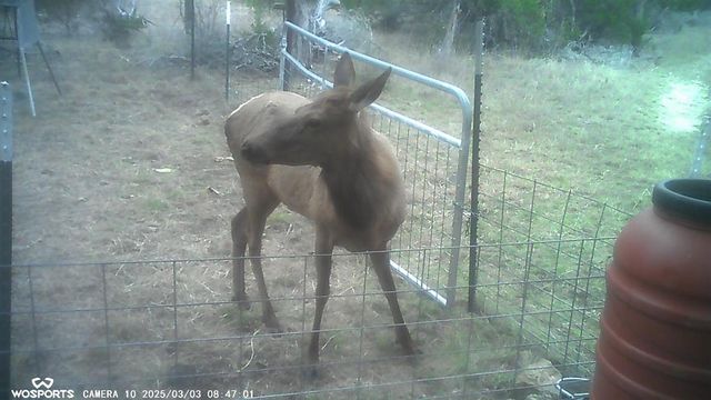 204 Wilson Ranch Rd, Hunt, TX 78024