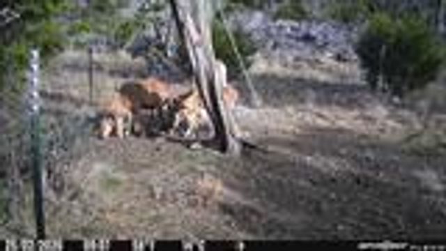 204 Wilson Ranch Rd, Hunt, TX 78024
