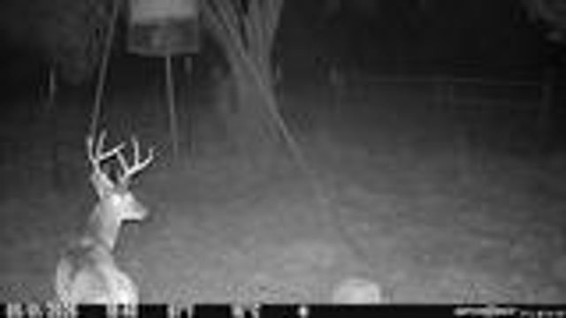 204 Wilson Ranch Rd, Hunt, TX 78024