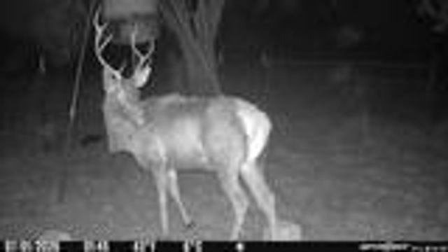 204 Wilson Ranch Rd, Hunt, TX 78024