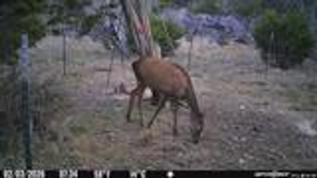 204 Wilson Ranch Rd, Hunt, TX 78024