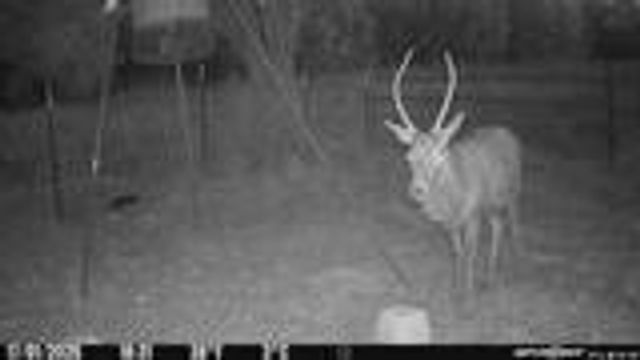 204 Wilson Ranch Rd, Hunt, TX 78024
