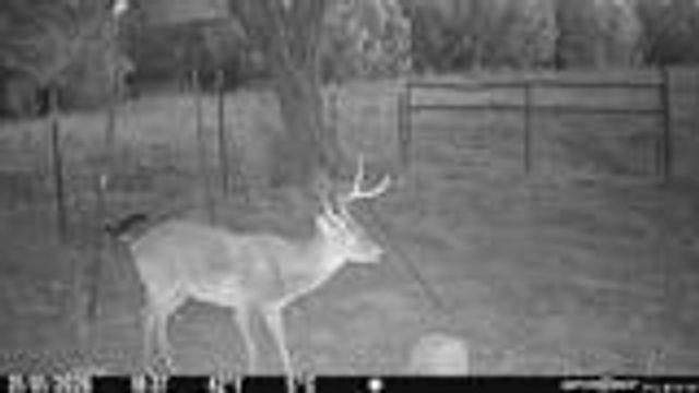 204 Wilson Ranch Rd, Hunt, TX 78024