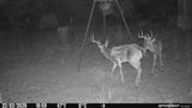 204 Wilson Ranch Rd, Hunt, TX 78024