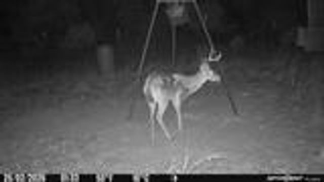 204 Wilson Ranch Rd, Hunt, TX 78024