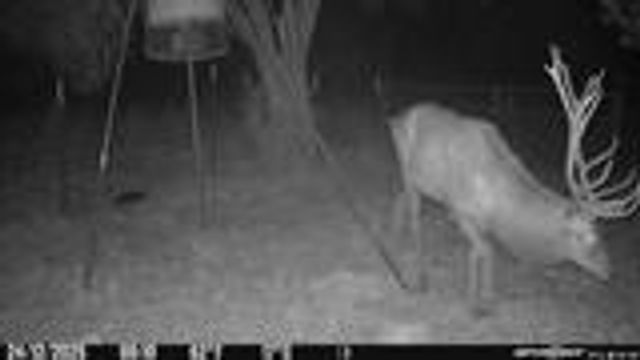 204 Wilson Ranch Rd, Hunt, TX 78024