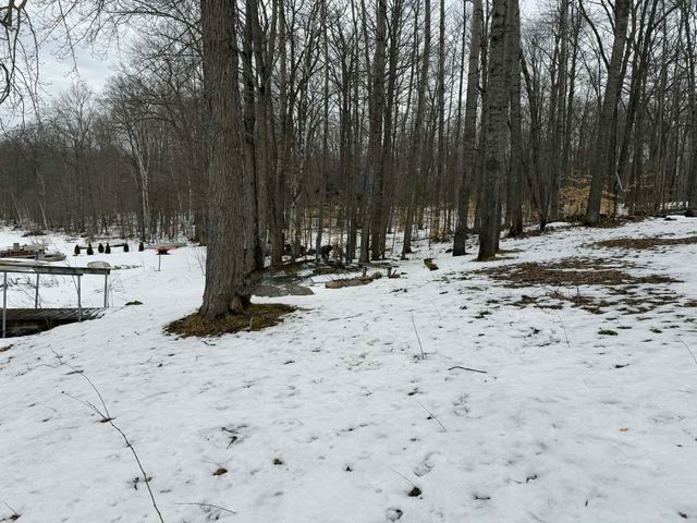 10131 Alpine Drive, Reed City, MI 49677