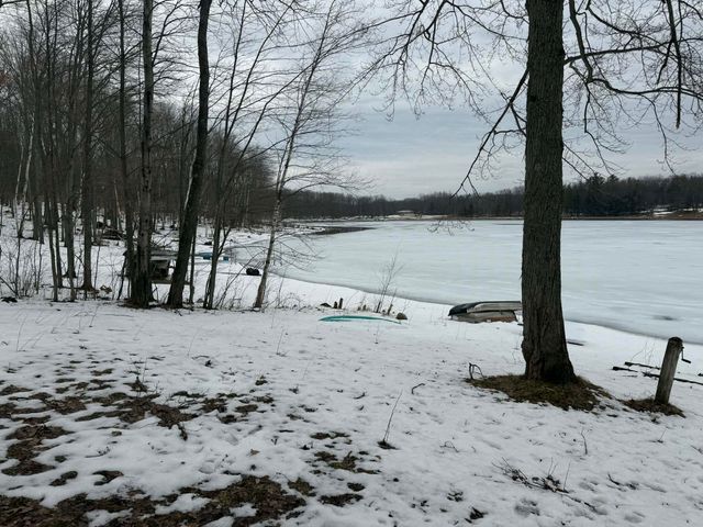 10131 Alpine Drive, Reed City, MI 49677