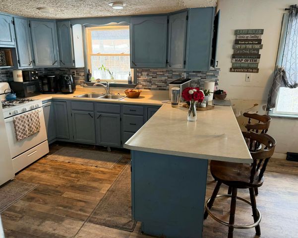 10131 Alpine Drive, Reed City, MI 49677