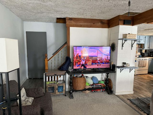 10131 Alpine Drive, Reed City, MI 49677