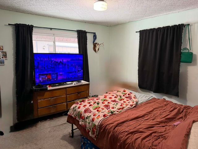 10131 Alpine Drive, Reed City, MI 49677