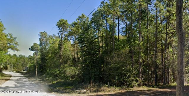 0 Cedarwood Avenue, Weeki Wachee, FL 34614