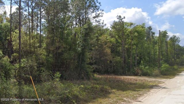 0 Cedarwood Avenue, Weeki Wachee, FL 34614
