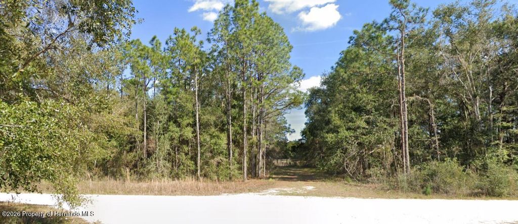0 Cedarwood Avenue, Weeki Wachee, FL 34614